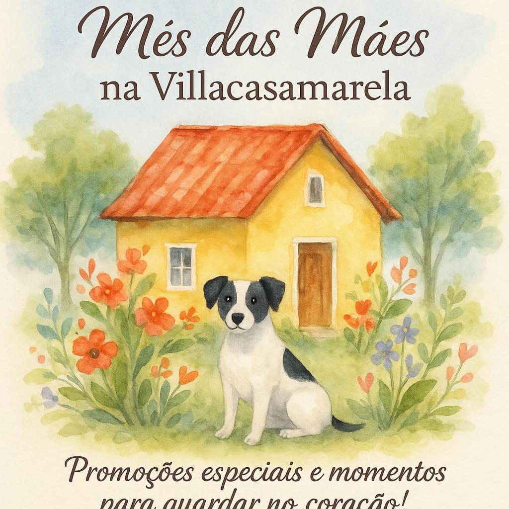Villacasamarela Mini Casinhas De Hospedes Rio Vermelho ฟลอเรียนอโปลิส ภายนอก รูปภาพ